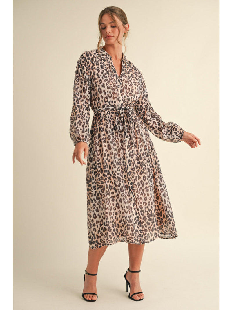 Wild Ways Leopard Dress