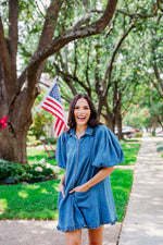 Denim Ruffle Pocket Dress by Karlie