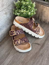 Corkys Rumor Has it Leopard