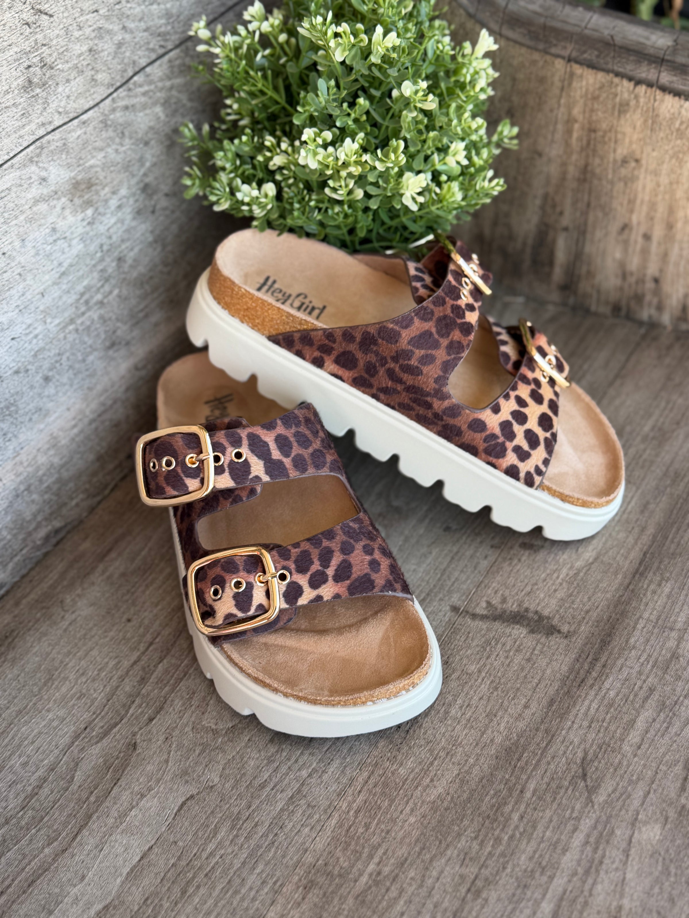 Corkys Rumor Has it Leopard