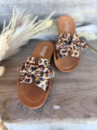 Corkys Too Cute - Leopard