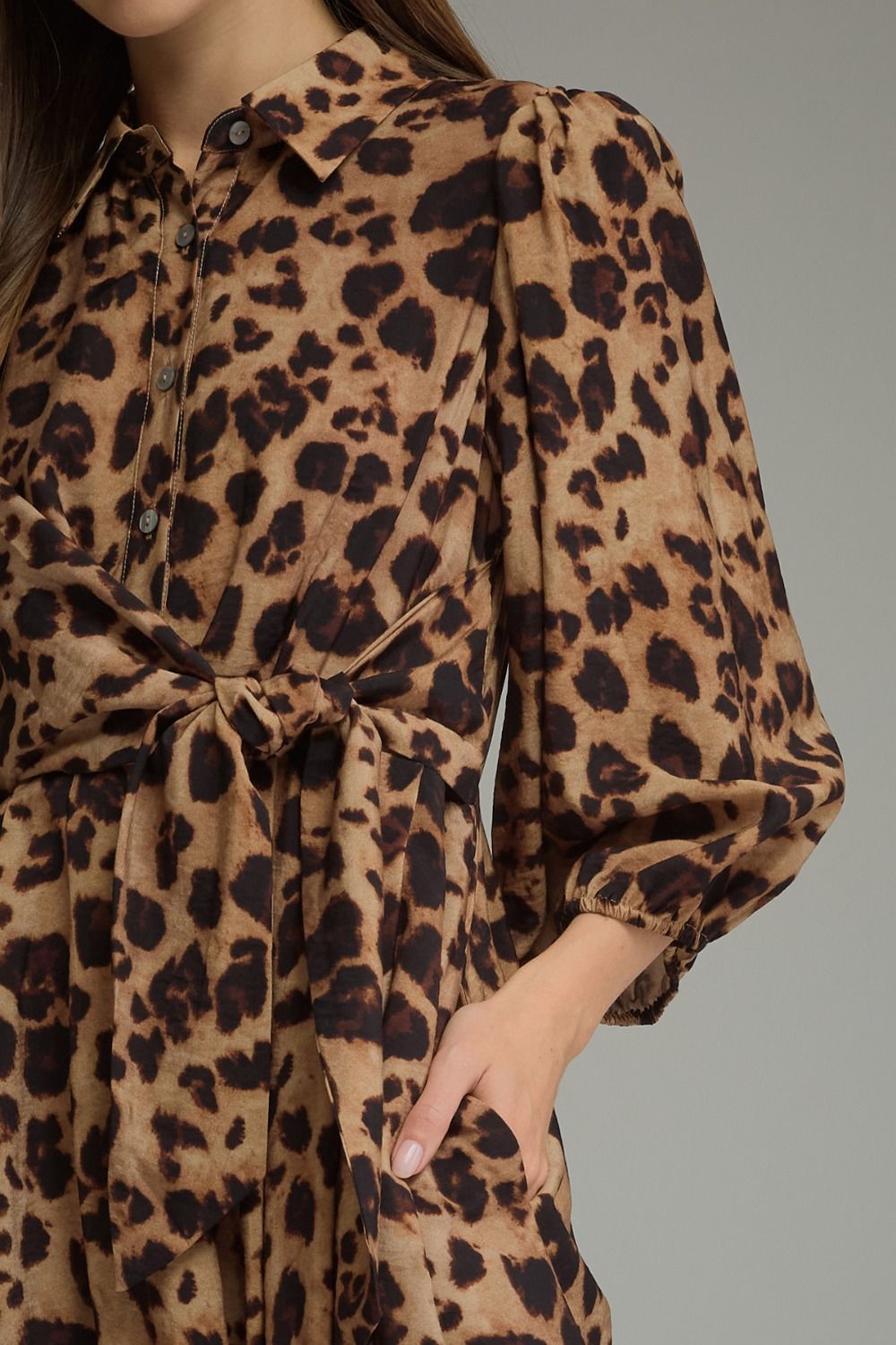 Wild Heart Leopard Dress
